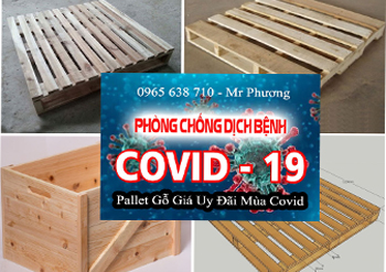 Pallet gỗ giá ưu đãi mùa covid